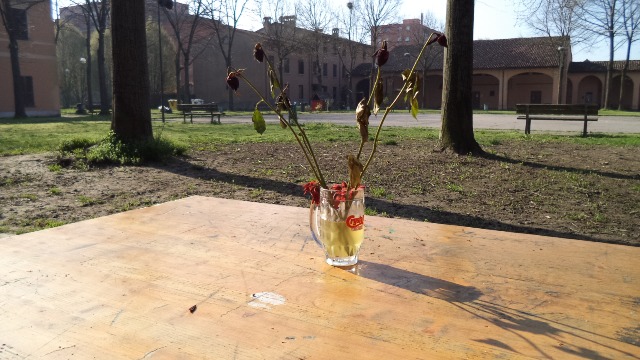 CREMONA - Csa Kavarna